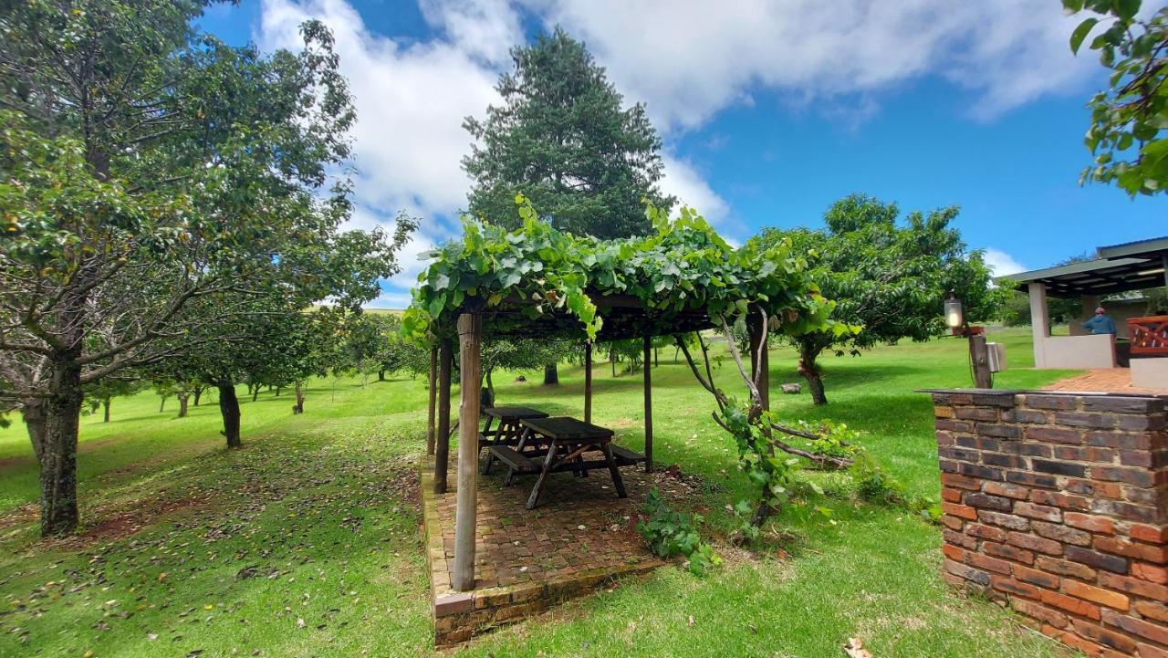 Apple Blossom Dullstroom